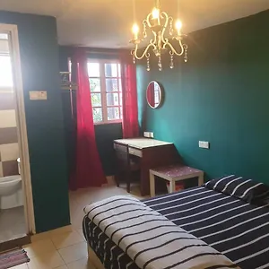 Szálloda City Inn Hotel **